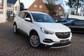 Daumennagel 23 - Opel Grandland Business Innovation 2.0 D LEDER=NAVI=LED