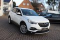 Daumennagel 25 - Opel Grandland Business Innovation 2.0 D LEDER=NAVI=LED