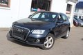 Daumennagel 15 - Audi Q5 2.0 TFSI quattro Xenon+Navi+Kamera+el.Panoramadach