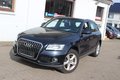 Daumennagel 16 - Audi Q5 2.0 TFSI quattro Xenon+Navi+Kamera+el.Panoramadach