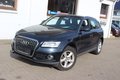Daumennagel 19 - Audi Q5 2.0 TFSI quattro Xenon+Navi+Kamera+el.Panoramadach