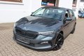 Daumennagel 16 - Skoda Scala Style 1.0 TSI DSG  LED Leuchte=Scheckheft