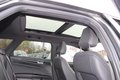 Daumennagel 2 - Ford Mondeo Turnier 2.0 TDCi ST-Line Aut Leder=NAVI=LED