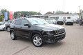 Daumennagel 19 - Jeep Cherokee Limited 4WD +AUTOMATIK+BI XENON+LEDER