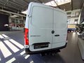 Daumennagel 5 - Mercedes-Benz Sprinter III Kasten L2 AHK 3,5t /Klima/1-HD/DAB
