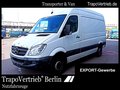 Daumennagel 1 - Mercedes-Benz Sprinter II Kasten 213 CDI DPF L2H2