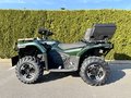 Daumennagel 2 - CFMOTO CFORCE 520 L ABS EPS *Forest Edition*