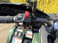 Daumennagel 9 - CFMOTO CFORCE 520 L ABS EPS *Forest Edition*