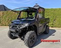 Daumennagel 1 - CFMOTO UFORCE U10 Pro Highland T1b ABS Vollkabine uvm.