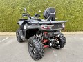 Daumennagel 3 - Segway Snarler 1000 AT10 DLX ABS T-Box, Heizung