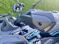 Daumennagel 7 - CFMOTO CFORCE 450 L ABS 4Jahre Garantie, 4x4, Servo