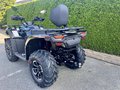 Daumennagel 4 - CFMOTO CFORCE 450 L ABS 4Jahre Garantie, 4x4, Servo