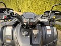 Daumennagel 9 - TGB Blade 620 EPS ABS LV 5 Jahre Garantie