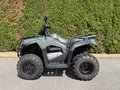Daumennagel 3 - Kymco MXU 300 i LOF wenig km