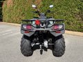 Daumennagel 6 - Kymco MXU 300 i LOF wenig km