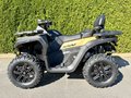 Daumennagel 3 - Segway Snarler 1000 AT10 One ABS T-Box, Heizung