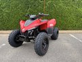 Daumennagel 2 - CFMOTO CFORCE 110 *Kinderquad*