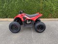 Daumennagel 3 - CFMOTO CFORCE 110 *Kinderquad*