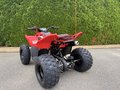 Daumennagel 4 - CFMOTO CFORCE 110 *Kinderquad*