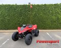 Daumennagel 1 - CFMOTO CFORCE 110 *Kinderquad*