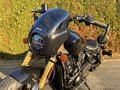 Daumennagel 8 - Indian Scout 101 Limited + Tech MY 2026
