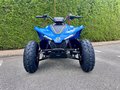 Daumennagel 2 - CFMOTO CFORCE 110 *Kinderquad*