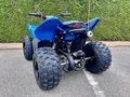 Daumennagel 6 - CFMOTO CFORCE 110 *Kinderquad*