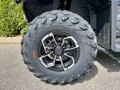 Daumennagel 7 - CFMOTO CFORCE 520 L ABS EPS 4 Jahre Garantie, 4x4