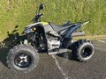 Daumennagel 6 - Aeon Cobra 424 SX *Limited 278 Stück* Euro 5