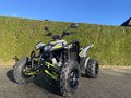 Daumennagel 2 - Aeon Cobra 424 SX *Limited 278 Stück* Euro 5