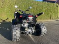 Daumennagel 10 - Aeon Cobra 424 SX *Limited 278 Stück* Euro 5