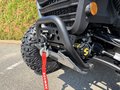 Daumennagel 8 - Segway Snarler 1000 AT10W PRO ABS 30" Reifen, Heizung