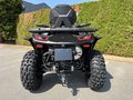 Daumennagel 5 - Segway Snarler 1000 AT10W PRO ABS 30" Reifen, Heizung