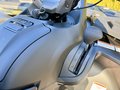 Daumennagel 11 - Segway Snarler 1000 AT10W DLX ABS 30" Reifen, Heizung