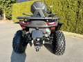 Daumennagel 5 - Segway Snarler 1000 AT10W DLX ABS 30" Reifen, Heizung