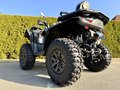 Daumennagel 14 - Segway Snarler 1000 AT10W DLX ABS 30" Reifen, Heizung