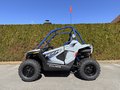 Daumennagel 4 - Polaris RZR 200 Youth