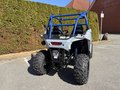 Daumennagel 6 - Polaris RZR 200 Youth