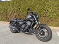 Daumennagel 3 - Honda CMX 500 Rebel wenig km