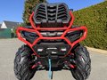 Daumennagel 2 - CFMOTO CFORCE 1000 Touring PRO Mud Version 4x4, ABS