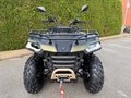 Daumennagel 2 - Segway Snarler 500 AT5 S EPS ABS Servolenkung