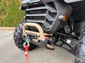Daumennagel 8 - Segway Snarler 500 AT5 S EPS ABS Servolenkung