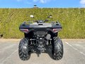 Daumennagel 8 - Polaris Sportsman 570 EPS Black T3b inkl. Seilwinde