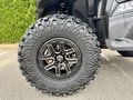 Daumennagel 10 - Segway Snarler 1000 AT10W DLX ABS 30" Reifen, Heizung