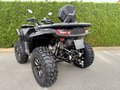 Daumennagel 6 - Segway Snarler 1000 AT10W DLX ABS 30" Reifen, Heizung