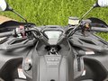 Daumennagel 18 - Segway Snarler 1000 AT10W DLX ABS 30" Reifen, Heizung