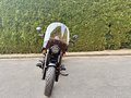 Daumennagel 5 - Indian Super Chief Dark Horse Black Metallic 2025