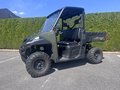 Daumennagel 10 - Polaris Ranger 900 XP LOF 1. Hand, Scheibe