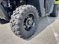 Daumennagel 9 - Polaris Ranger Diesel HD EPS inkl. Half Cab 2025