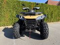 Daumennagel 2 - Segway Snarler 1000 AT10W DLX ABS 30" Reifen, Heizung